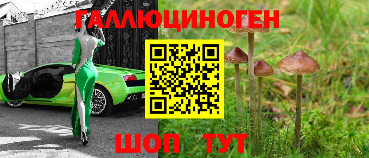Димитровград  Галлюциногенные грибы MAGIC MUSHROOMS  Вход с VPN 