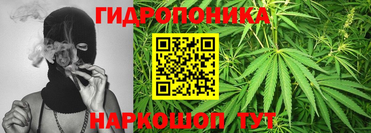 Димитровград  Каннабис AK-47  Вход с VPN  Шишки марихуана White Widow 
